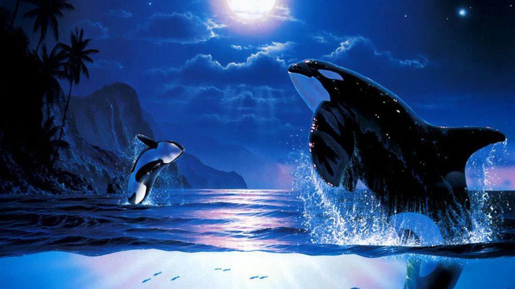 פריידי הרבור The Orca Inn מראה חיצוני תמונה